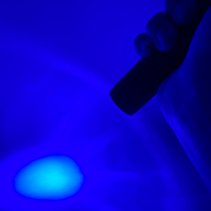 UV 축광기 루어 웜 에기 야광